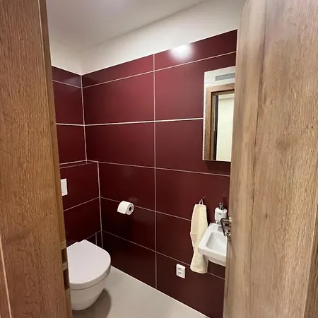 Pod Klinovcem 公寓 Loučná pod Klínovcem